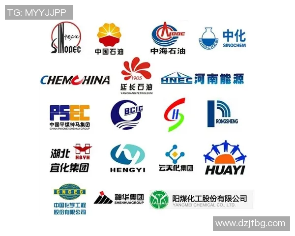 中国十大体育运动品牌全景解析助你选择适合的运动装备与品牌体验