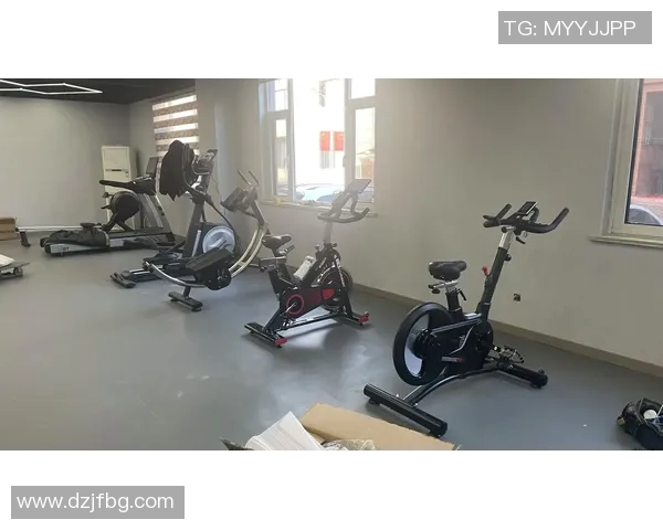 武汉市飞驼健身器材销售中心为您提供全方位健身解决方案助您健康生活每一天