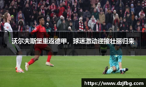 沃尔夫斯堡重返德甲，球迷激动迎接壮丽归来